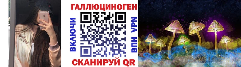 Псилоцибиновые грибы Psilocybe  закладки  MEGA маркетплейс  Вилюйск 